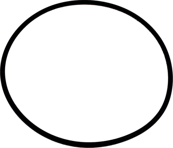 Wolf O-Ring 132 x 4 Viton für COB 8905738